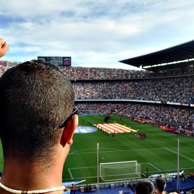 fans